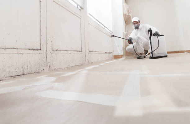 24/7 Emergency Mold Cleanup experts in Quincy, MA